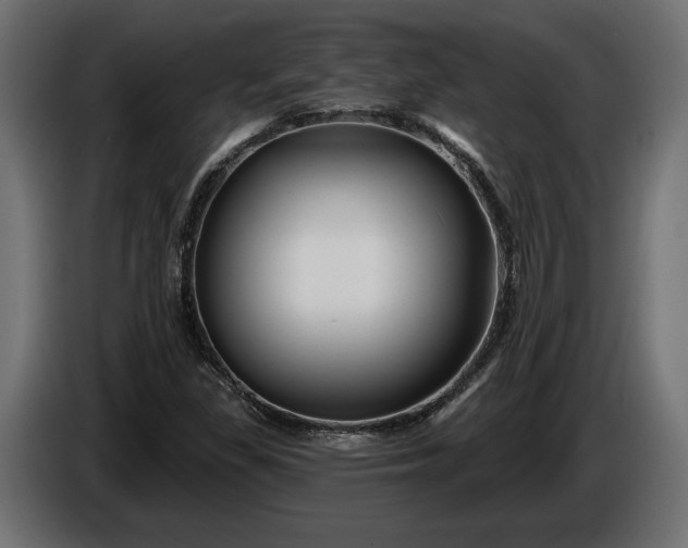 X0000086301309200704131601