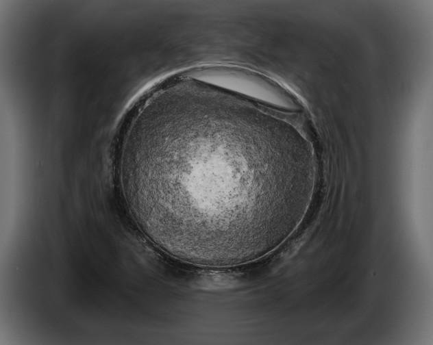 X0000086301311200704131601