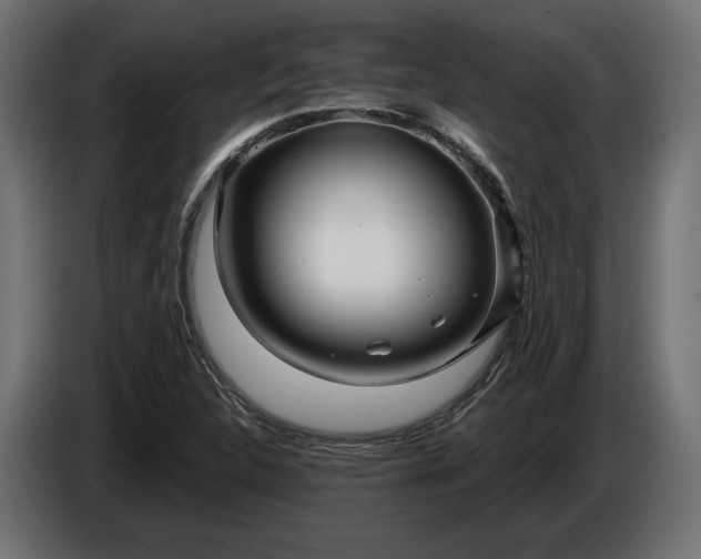 X0000086301312200704131601