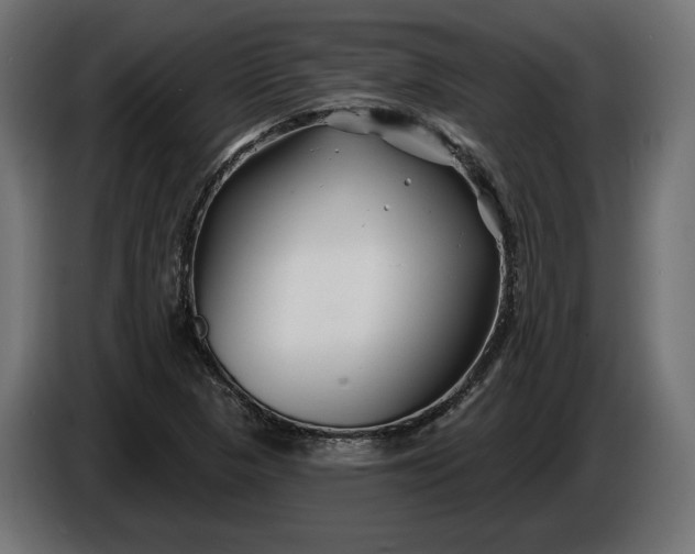 X0000086301313200704131601