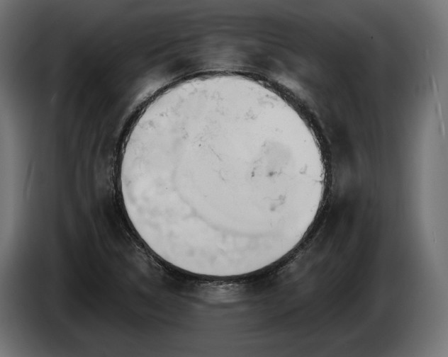 X0000086301314200704131601