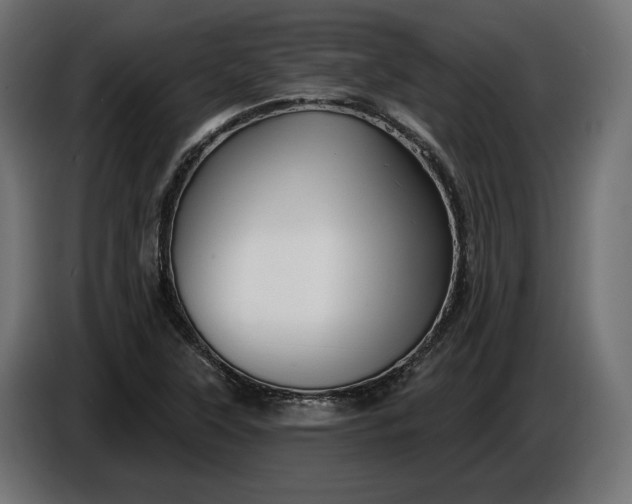 X0000086301315200704131601