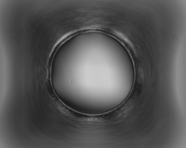 X0000086301316200704131601