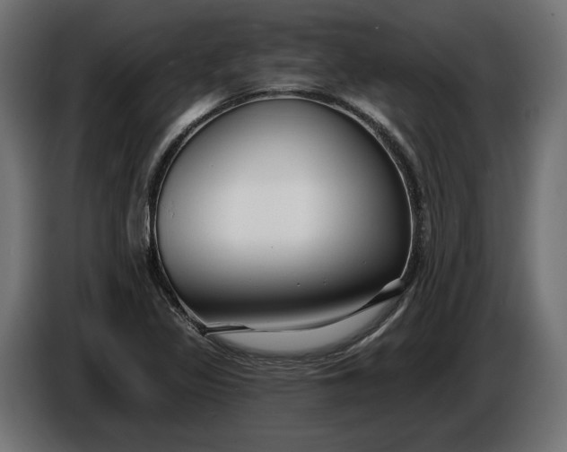 X0000086301317200704131601