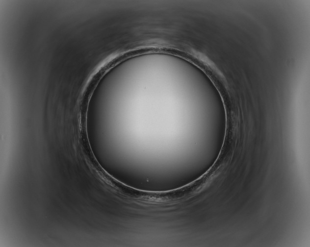 X0000086301318200704131601