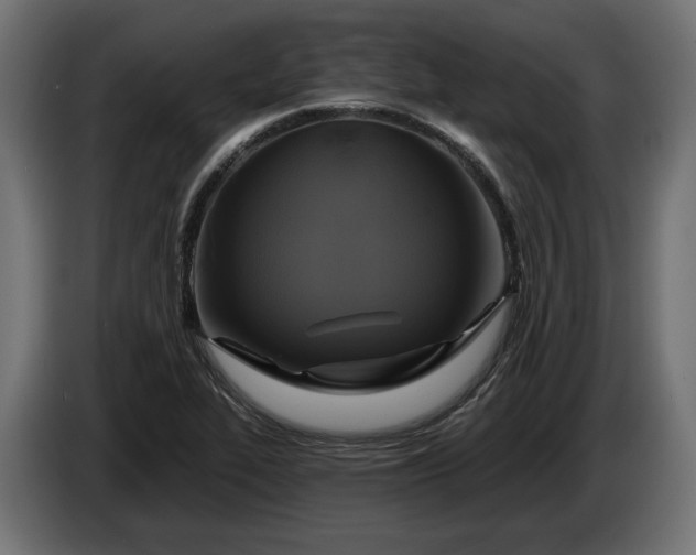 X0000086301319200704131601