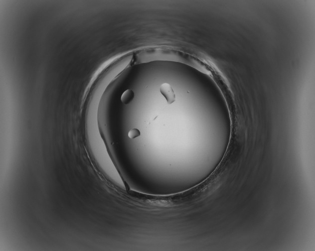 X0000086301320200704131601