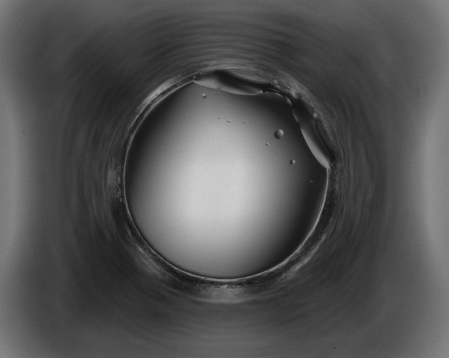 X0000086301321200704131601