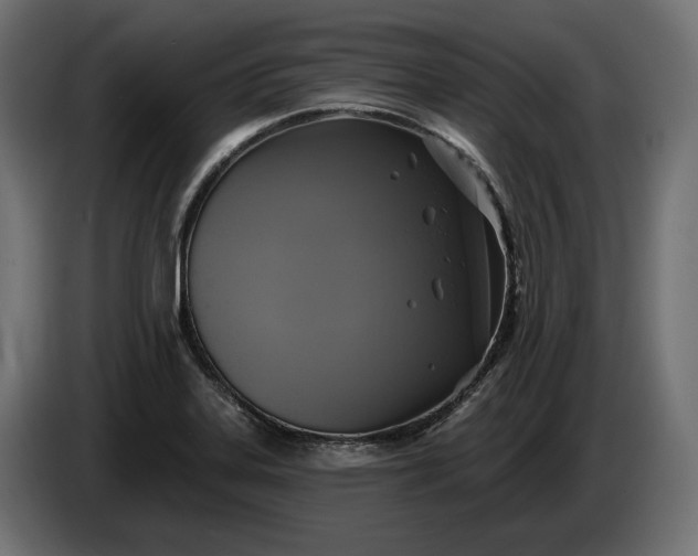 X0000086301323200704131601