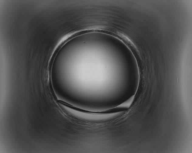 X0000086301324200704131601