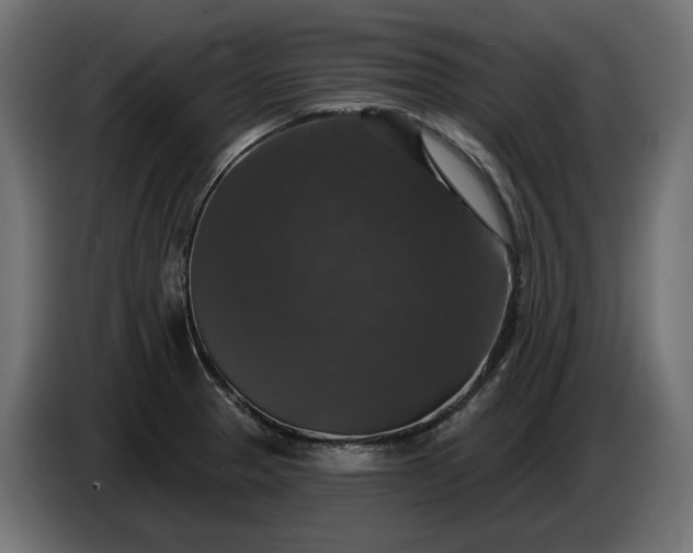 X0000086301329200704131601