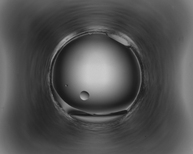 X0000086301330200704131601