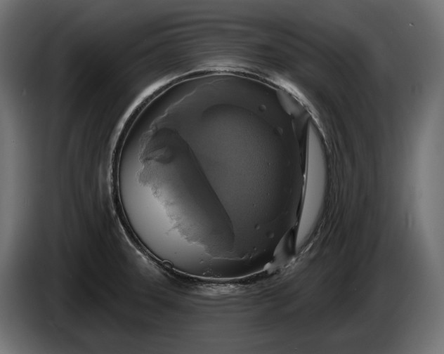 X0000086301331200704131601