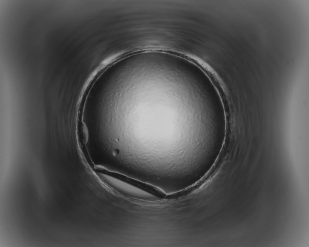 X0000086301333200704131601