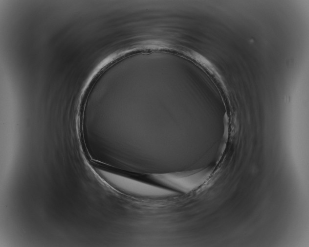 X0000086301334200704131601