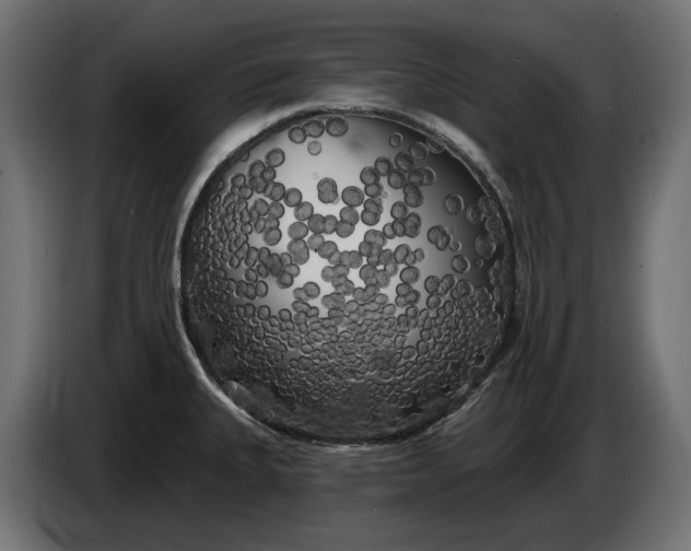 X0000086301335200704131601