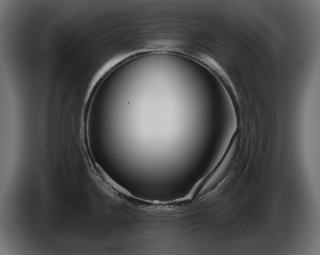 X0000086301336200704131601