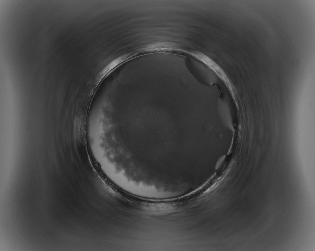 X0000086301337200704131601