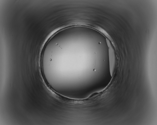 X0000086301339200704131601