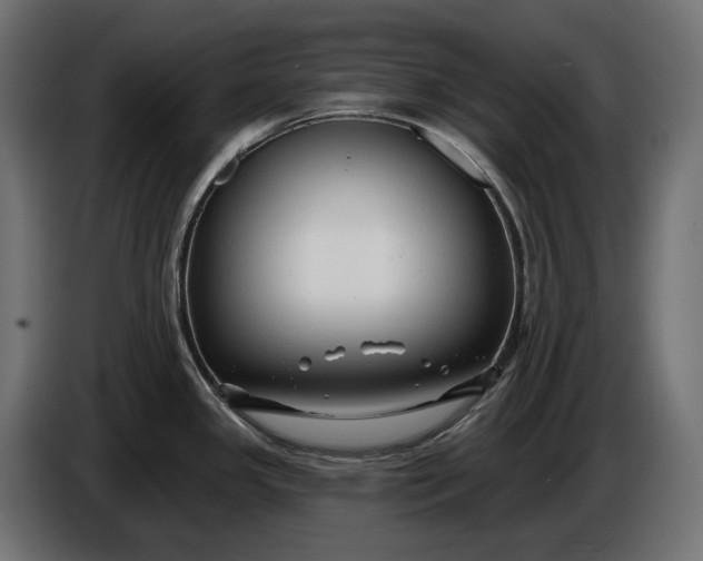 X0000086301341200704131601