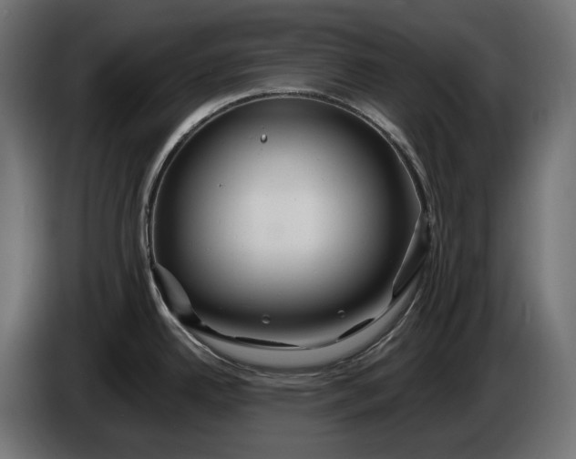 X0000086301342200704131601