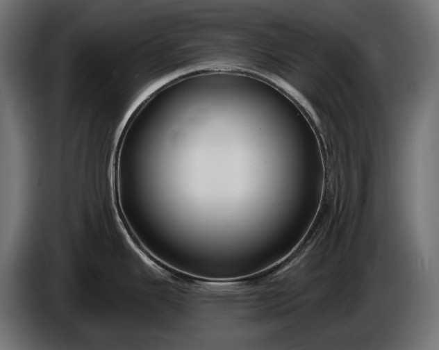 X0000086301343200704131601