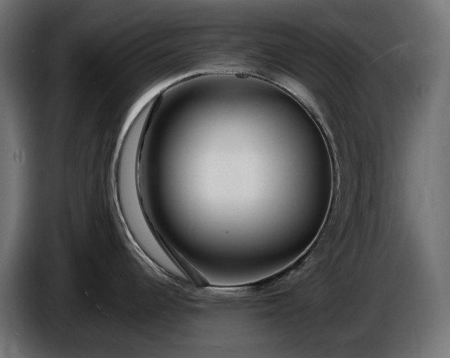 X0000086301344200704131601