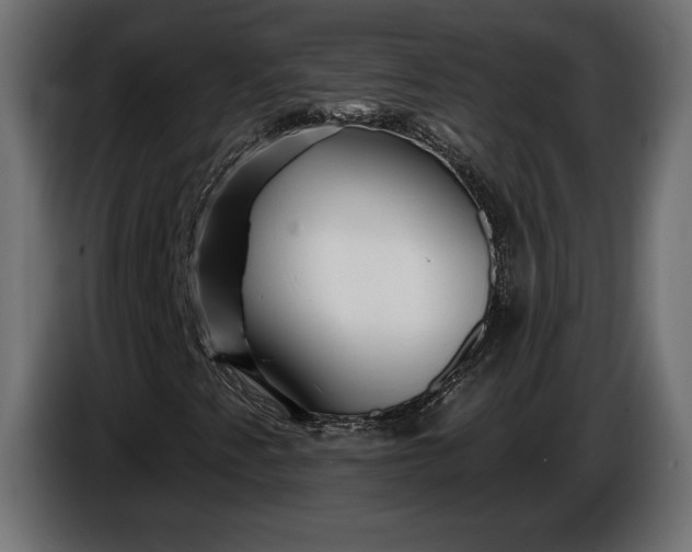 X0000086301345200704131600