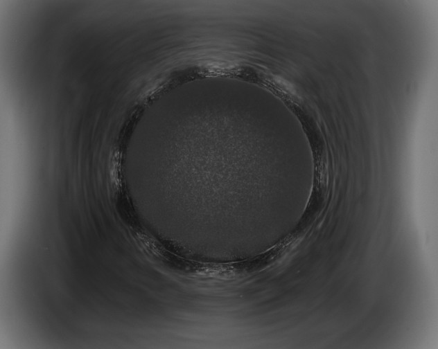 X0000086301346200704131600