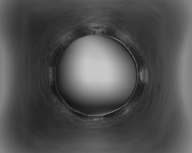 X0000086301347200704131600