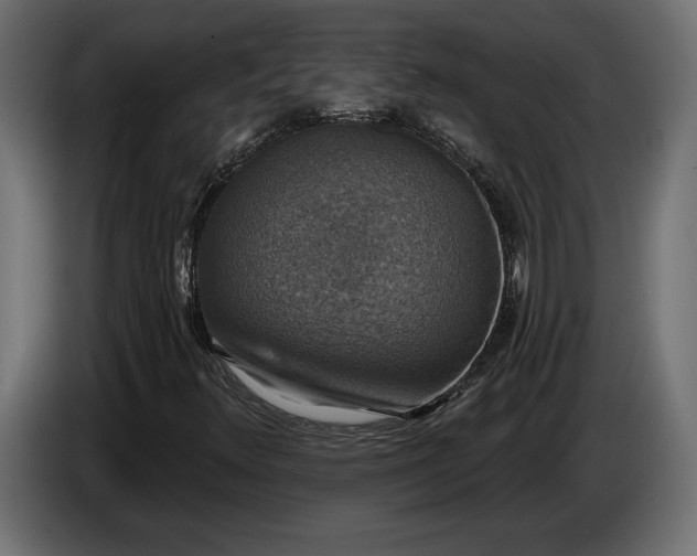 X0000086301348200704131600