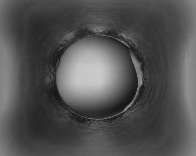 X0000086301349200704131600