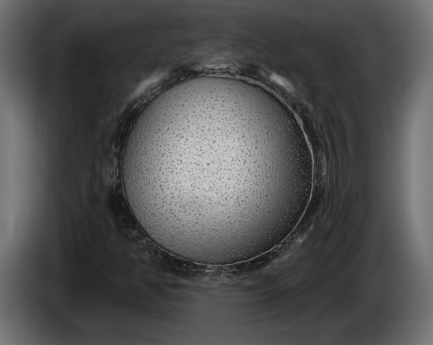 X0000086301350200704131600