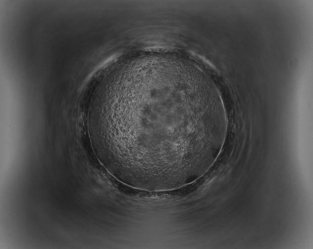 X0000086301351200704131600