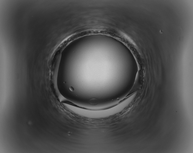 X0000086301352200704131600