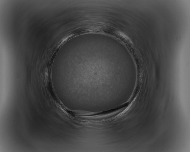 X0000086301353200704131600