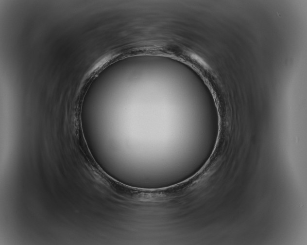 X0000086301354200704131600