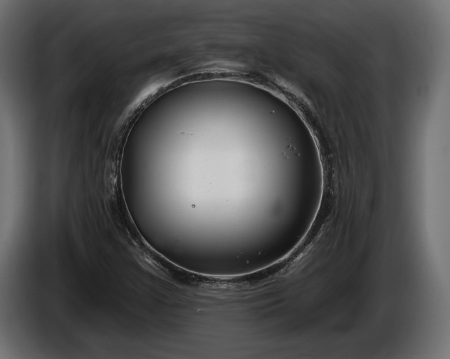 X0000086301355200704131600