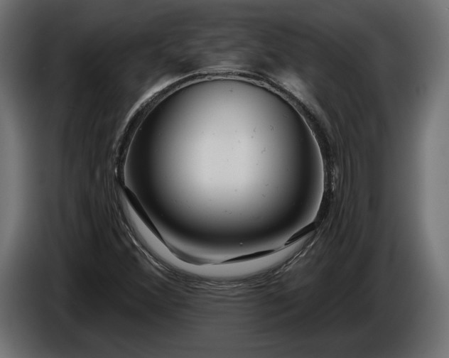 X0000086301356200704131600