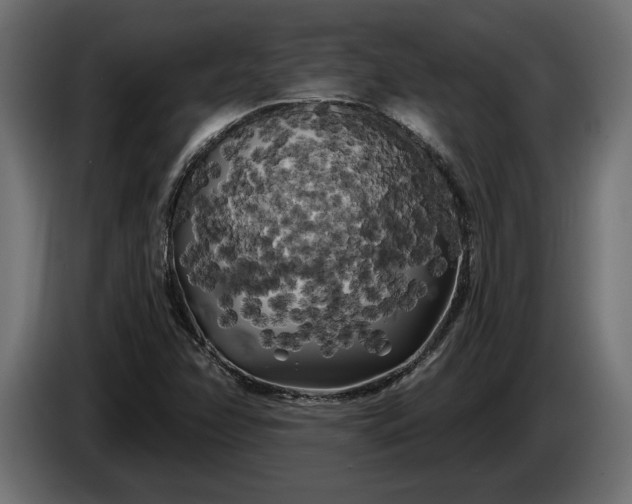 X0000086301358200704131600