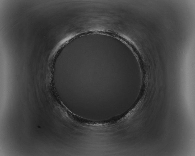 X0000086301359200704131600