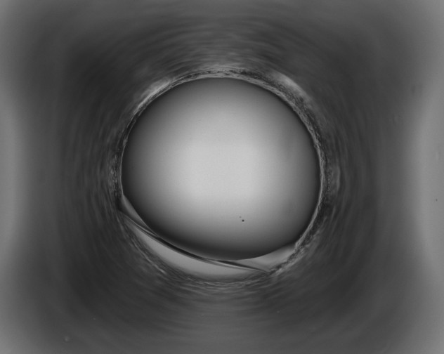 X0000086301361200704131600