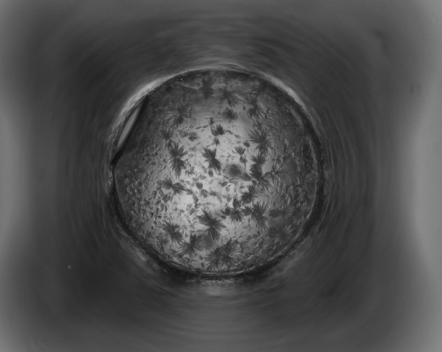 X0000086301363200704131600