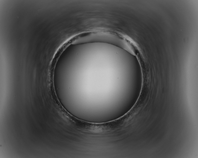 X0000086301364200704131600