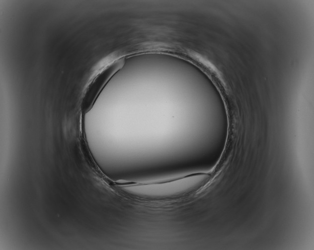 X0000086301365200704131600