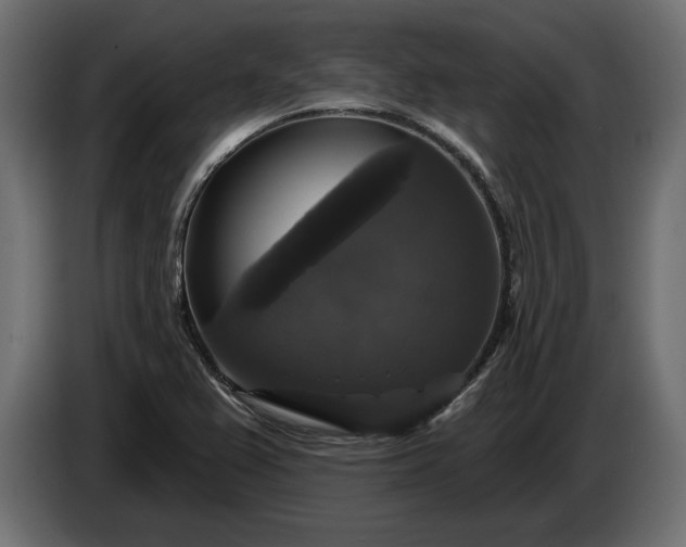 X0000086301367200704131600