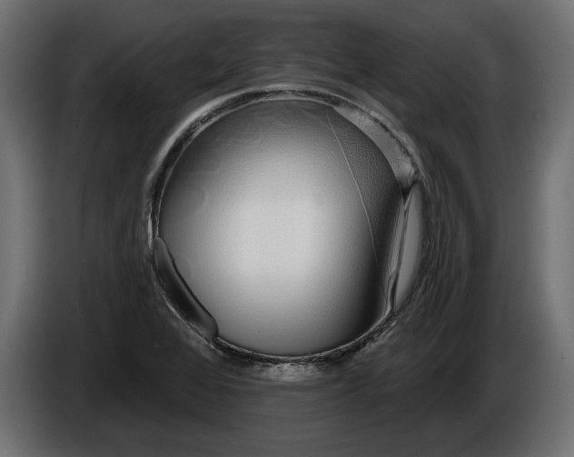 X0000086301368200704131600