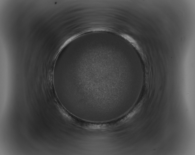 X0000086301369200704131600