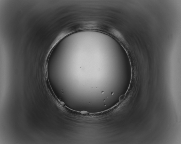 X0000086301370200704131600