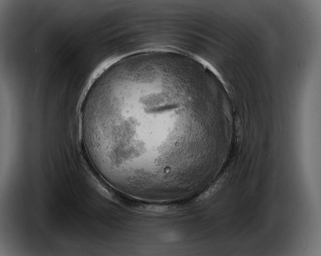 X0000086301371200704131600